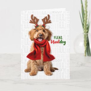 Labradoodle Perro Divertido Pulgas Navidog Navidad