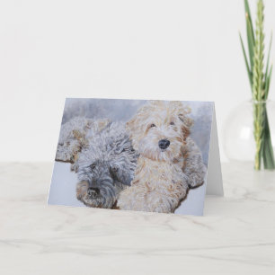 Labradoodles Dos Tarjetas De Saludo