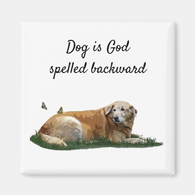 Labrador amarillo imán de perros de raza mixta (Frente)