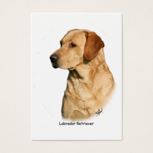 Labrador amarillo recuperador (Frente)