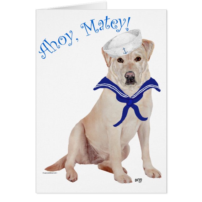 Labrador amarillo Sailor (Frente)