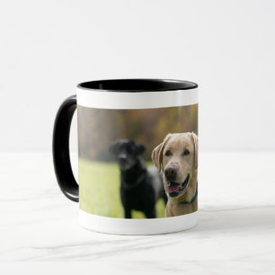 Labrador amarillo y negro Negro-Dirigió la taza de