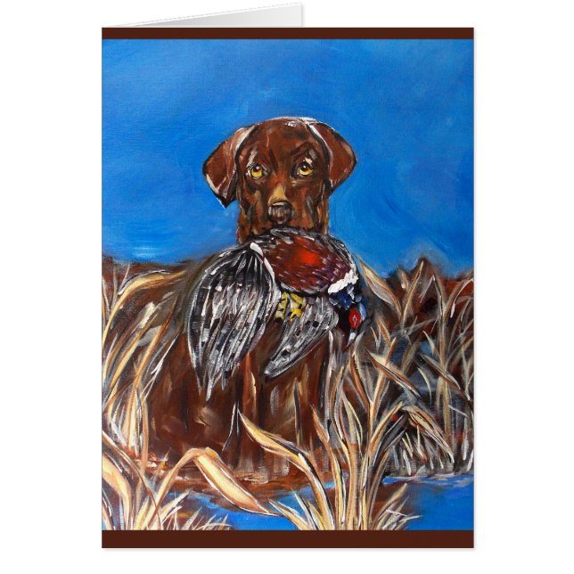 LABRADOR CHOCOLATE (Frente)