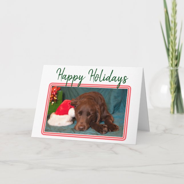 Labrador Chocolate de Navidad y sombrero de Santa  (Anverso)