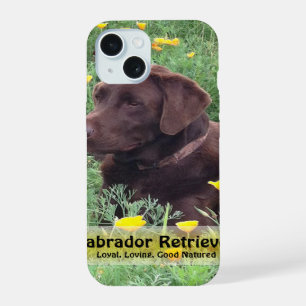 Labrador de Chocolate en Parche de Amapola de Cali