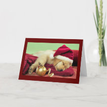 Labrador de Navidad