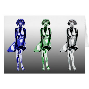 Labrador Monroe - estilo