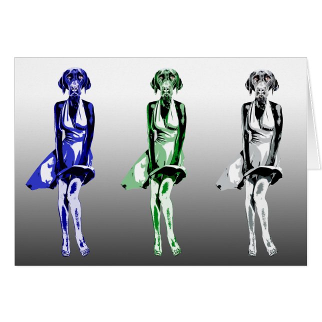 Labrador Monroe - estilo (Anverso (Horizontal))