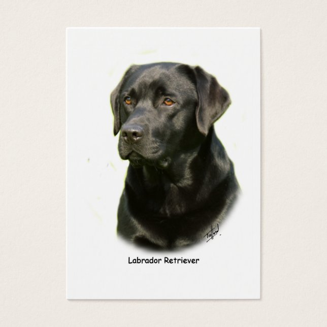 Labrador negro (Frente)