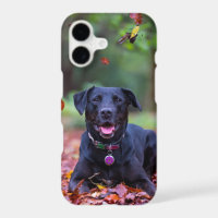 Labrador Negro Entre Hojas de Otoño