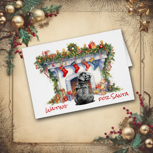 Labrador negro espera a Santa María