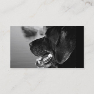 LABRADOR NEGRO - plantilla de la tarjeta de visita