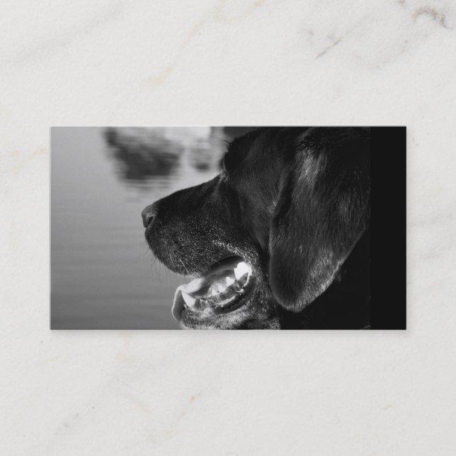 LABRADOR NEGRO - plantilla de la tarjeta de visita (Anverso)