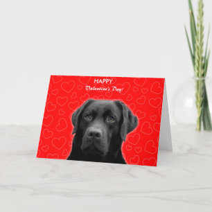 Labrador negro que desea la tarjeta feliz del el