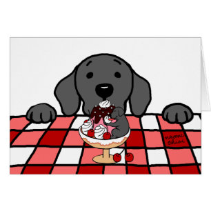 Labrador negro que le mira cocina