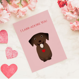 Labrador perro recuperador Valentine, El día de Sa