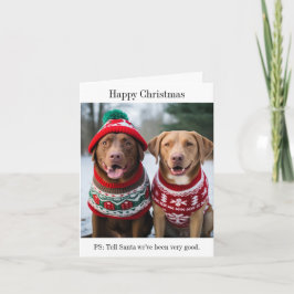 Labrador recupera tarjeta de Navidades Jumpers