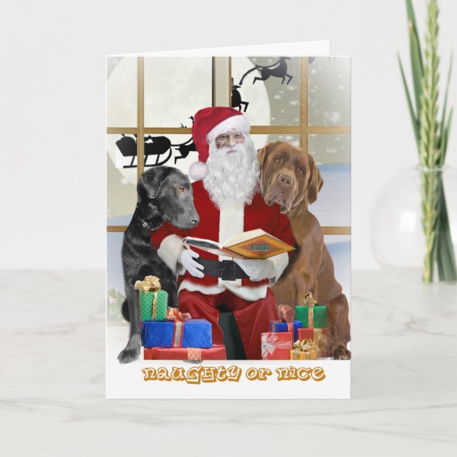 Labrador Recupera Tarjetas Malas O Bonitas (Anverso)