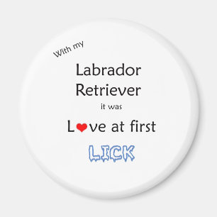 Labrador recuperador amor a primer lick - imán