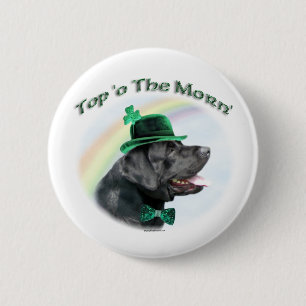 Labrador recuperador arriba de la mañana - botón