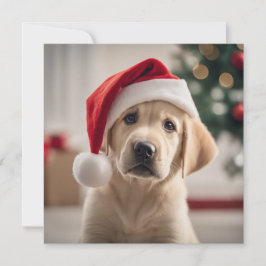 Labrador Recuperador Navidades