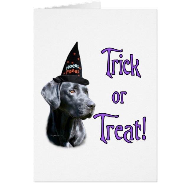 Labrador Recuperador (negro)Trick (Frente)