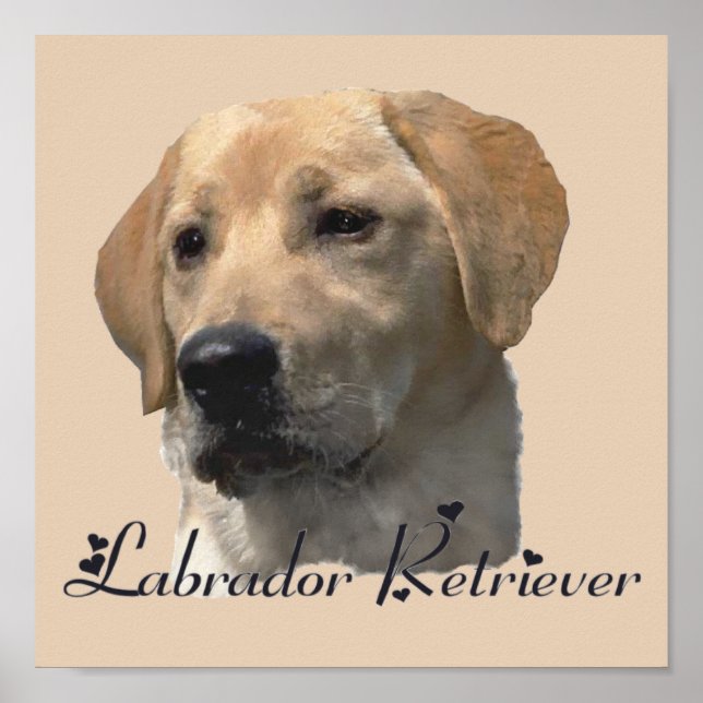 Labrador Recuperar impresiones de arte (Frente)