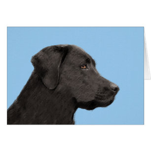 Labrador recuperar pintura negra original de perro