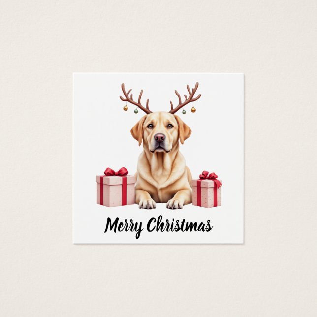 Labrador Reindeer (Anverso)