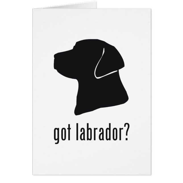 Labrador retriever (Frente)