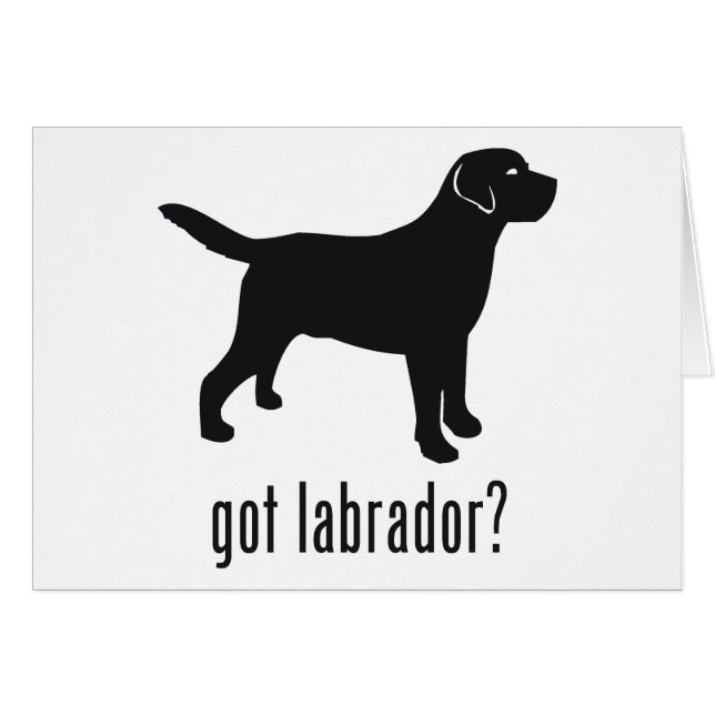 Labrador retriever (Anverso (Horizontal))