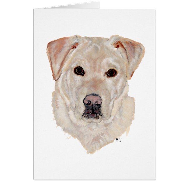 Labrador Retriever Amarillo (Frente)