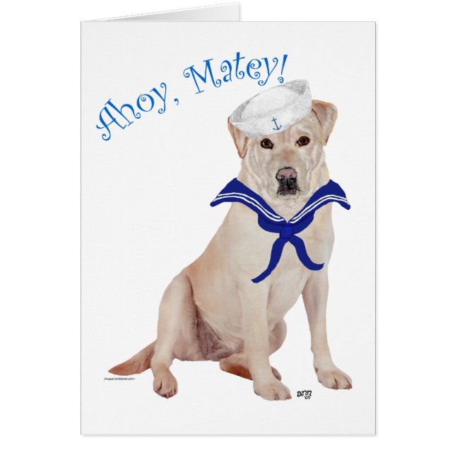 Labrador Retriever Amarillo Marinero (Frente)