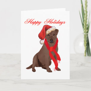Labrador Retriever Chocolate Navidad