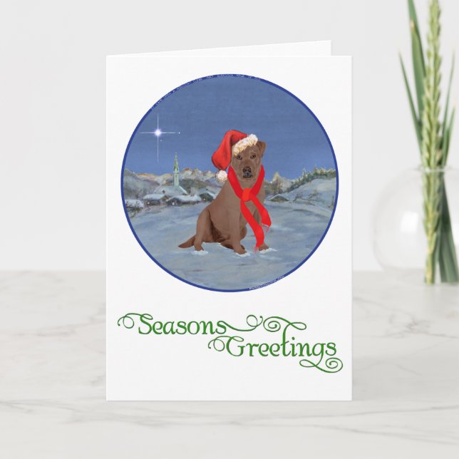 Labrador Retriever Chocolate Navidad (Anverso)