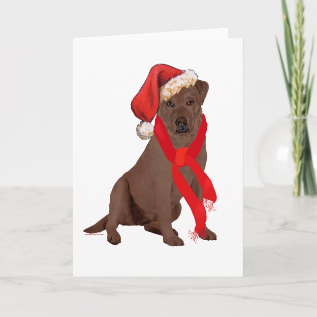 Labrador Retriever Chocolate Navidad (Anverso)