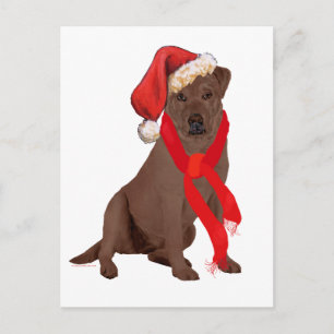 Labrador Retriever Chocolate Navidad