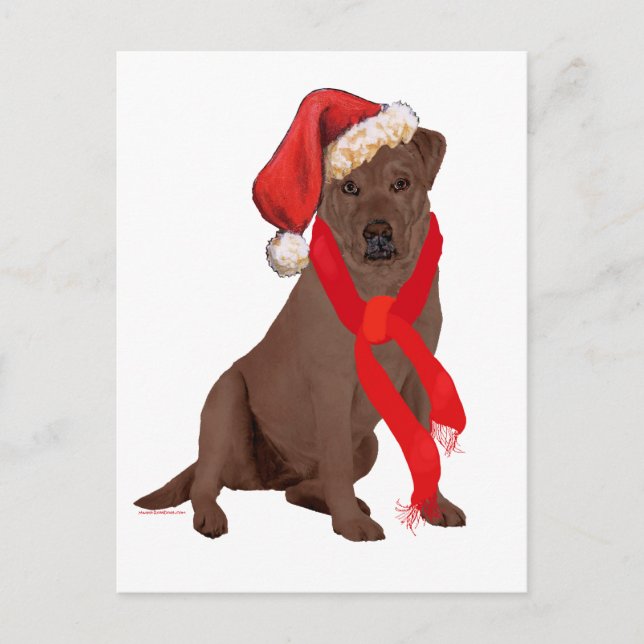 Labrador Retriever Chocolate Navidad (Anverso)