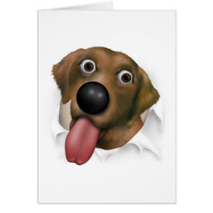 Labrador retriever (chocolate) que revienta hacia