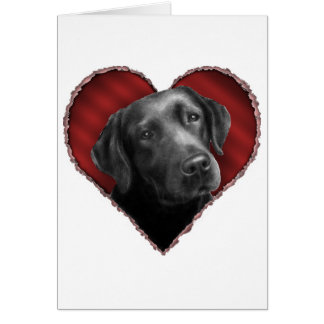 Labrador retriever con el corazón