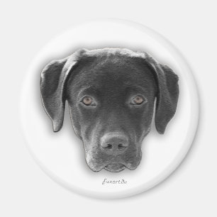 Labrador Retriever imán