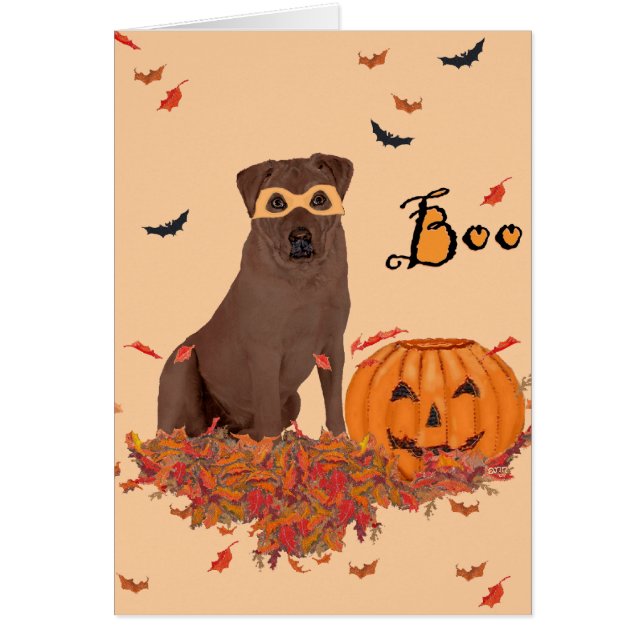 Labrador Retriever marrón de Halloween (Frente)