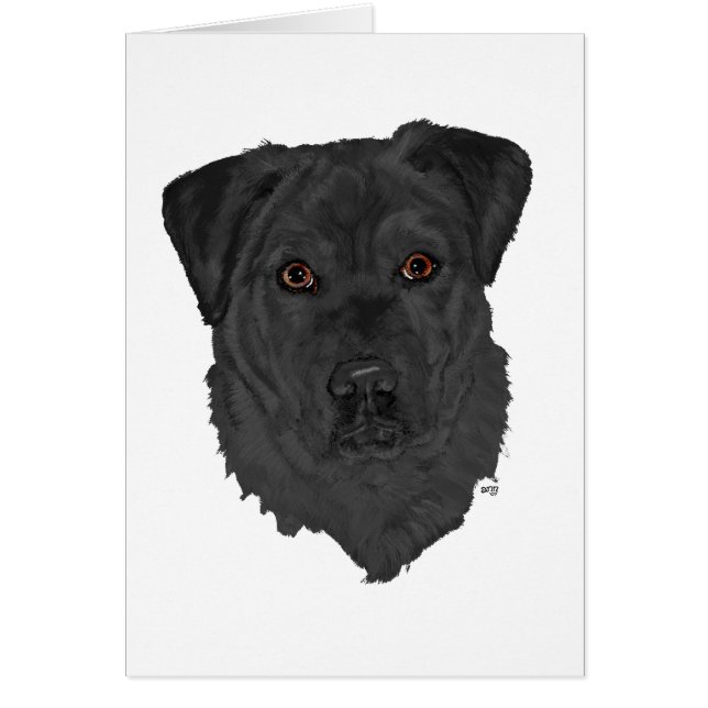 Labrador Retriever Negro (Frente)