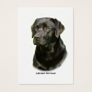 Labrador retriever negro