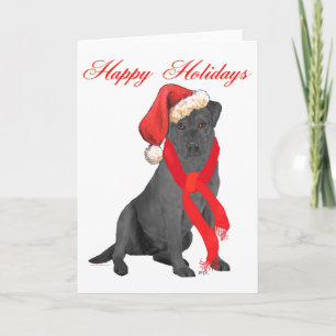 Labrador Retriever Negro de Navidad