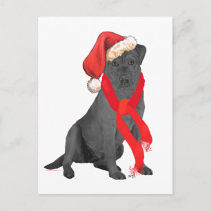 Labrador Retriever Negro Navidad