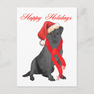 Labrador Retriever Negro Navidad