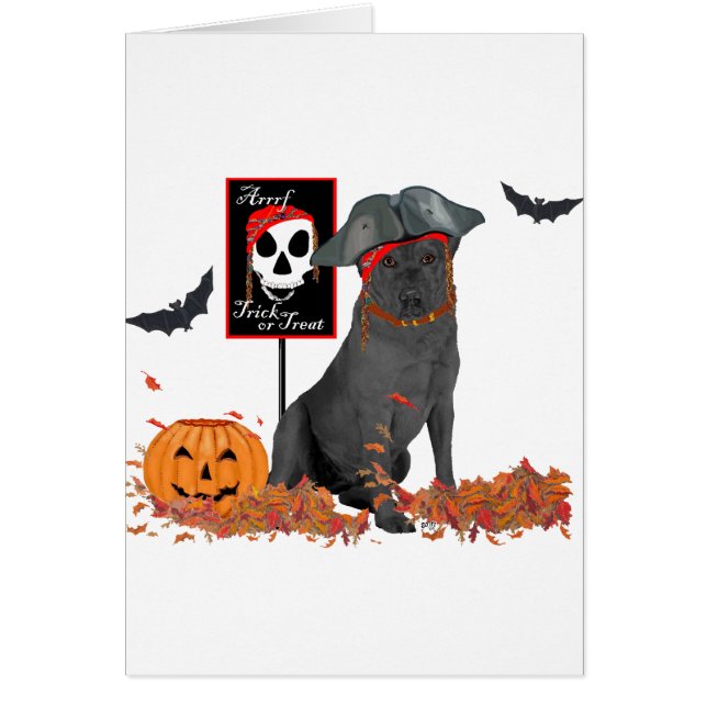 Labrador Retriever Negro Pirata (Frente)