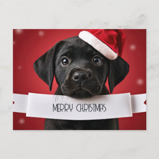 Labrador Retriever Rojo de Navidad Lindo