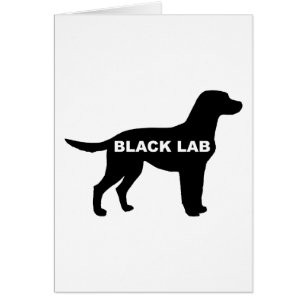 Labrador Retriever silo negro